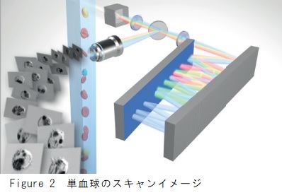 単血球スキャンイメージ